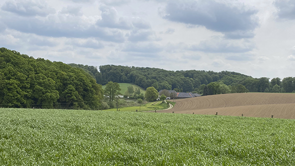 Wandern mit Kindern in Düsseldorf